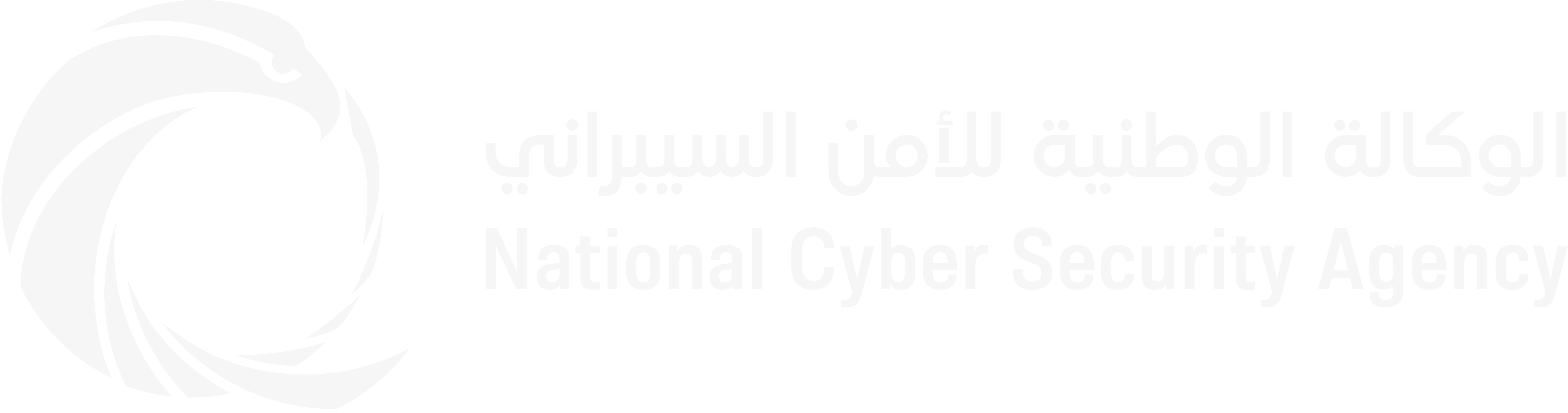 National Cyber Security Agency